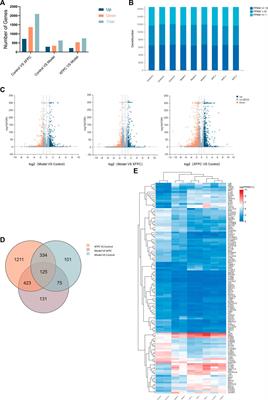 Roles of autophagy-related genes in the therapeutic effects of Xuanfei Pingchuan capsules on chronic obstructive pulmonary disease based on transcriptome sequencing analysis